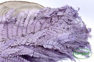 Feriga light purple