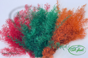 Feriga sertularia orange - Img 2