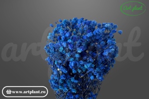 Gypsophila Albastră