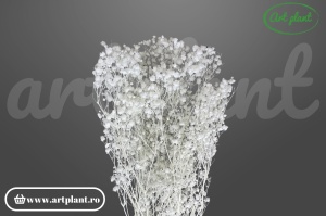 Gypsophila criogenată albă (alb-verde)