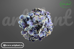 Hortensie stabilizată Purple Antique, floare naturală în nuanțe de mov antichizat
