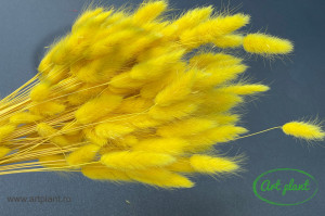 Lagurus galben