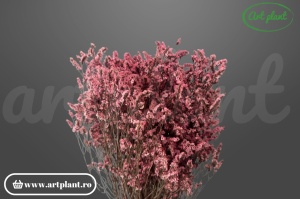 Limonium Sinensis Stabilizat Roz, buchet 100-120g, textură etericăfină roz pentru buchete de mireasă și coronițe