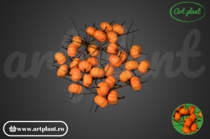 Mini dovlecei decorativi