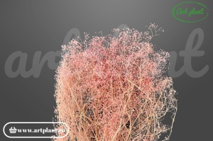 Mini gypsophila light pink
