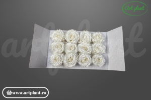 mini rose romantic stabilizate ivory flori naturale pentru decor