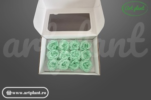 Mini Rose Romantic stabilizate Mint din Ecuador, Ø 4–5 cm • Înălțime 2–2.3 cm, 12 buc