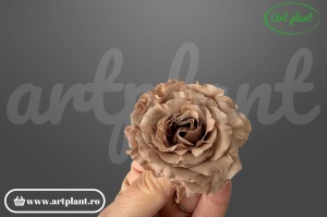 Mini Rose Romantic stabilizate Nude
