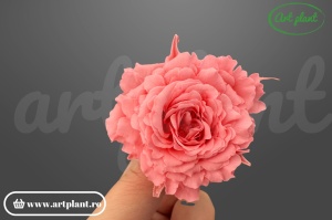 Mini Rose Romantic stabilizate roz
