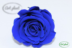 Mini Roze Warmi Albastru Blu03 - Img 1