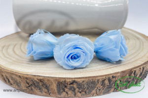 Mini Roze Warmi Bleo Blu89 - Img 1