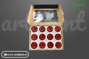 Mini Roze Warmi Roșu Cărămiziu Grp01