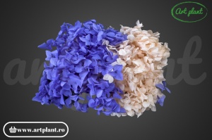Mix Hortensie Stabilizată – Set cu 2 Culori Naturale