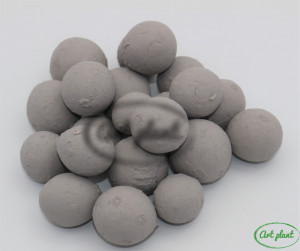 Nuci macadamia gri
