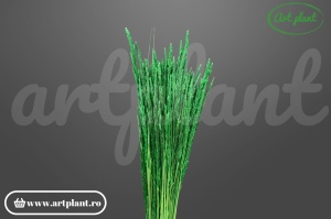 Pampas piumetta cristina bordo (G)