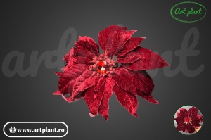 Ramură decorativă Crăciuniță, 23 cm – burgundy - Img 2