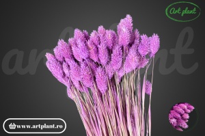 Talaris mov liliac (G)
