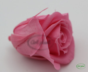 Trandafir criogenat Baby Pink M - Img 3