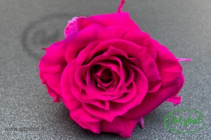 Trandafir Criogenat Hot Pink Pin03