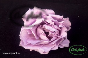 Trandafir criogenat Light Purple - Img 1