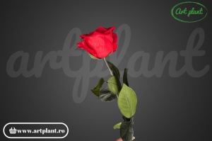 Trandafir criogenat Rosu Red02 cu tijă, 30 cm