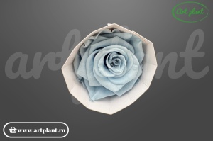 Trandafir criogenat 6cm Lavander - Art Plant