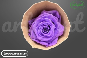 Trandafir criogenat 6cm Lila - Art Plant