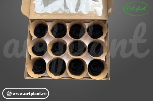Trandafiri Criogenati Black Bla01