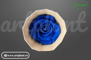 Trandafir criogenat Mediu Albastru Regal - Art Plant