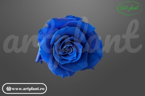 Trandafiri criogenați Mediu Albastru Regal - cutie 6 bucăți Art Plant