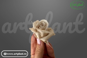 Trandafiri Criogenati Mini Sand din Ecuador, 3-5 cm , inaltime 3-4 cm, 12 buc