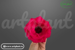 Anemonă stabilizată Chery Blush din Ecuador, Diametru: 9.0 – 9.5 cm Înălțime: 4.0 – 4.6 cm, 1 buc