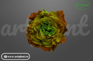 Brassica Luxe
