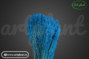 Broom Albastru