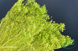 Broom verde neon - Img 1