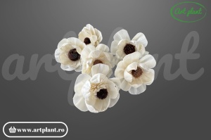 Cap anemonă sola dublă 8 cm cu petale pe două niveluri și centru brun, floare decorativă din lemn de sola