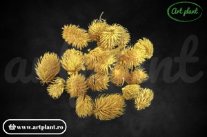 Capete ciulini galben