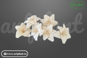 Cap crin sola 10 cm cu petale alungite clasice, floare decorativă elegantă din lemn de sola
