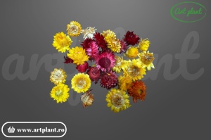 Capete flori de paie mix