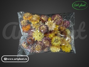 Capete flori de paie mix