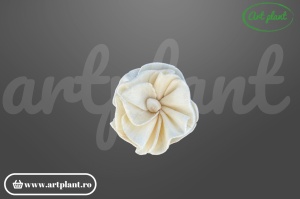 Cap hortensie sola 4 cm cu inflorescență compactă, floare decorativă din lemn de sola