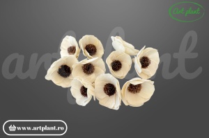 Cap mac sola 6 cm cu petale fine și delicate, floare decorativă eterică din lemn de sola