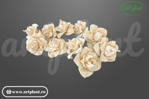Cap magnolie sola 6 cm cu petale mari în cupă deschisă, floare decorativă elegantă din lemn de sola