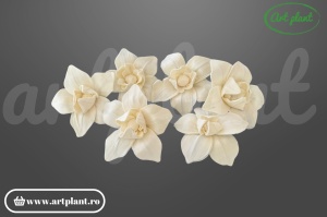 Cap magnolie stelată sola 10 cm cu petale alungite în formă de stea, floare decorativă din lemn de sola