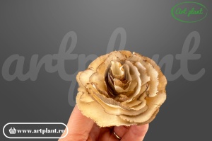 Capete trandafir sola rustic / vintage 6cm