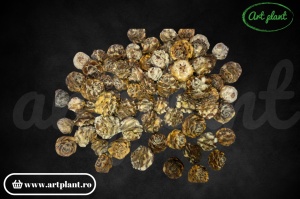 Conuri tortum natural