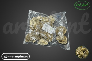 Conuri trandafir glitter champagne - Img 2