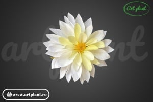 Dahlia bic alb/galben