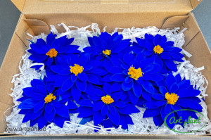 Dalia Criogenata Albastru Blu03 - Img 2