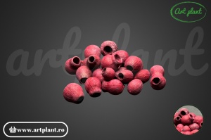 Fructe eucalipt clopot bordo